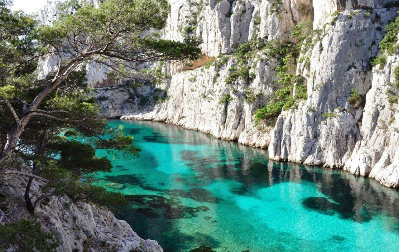 Le Patio Des Mimosas Par Dodo-A-Cassis Bed & Breakfast Exterior foto